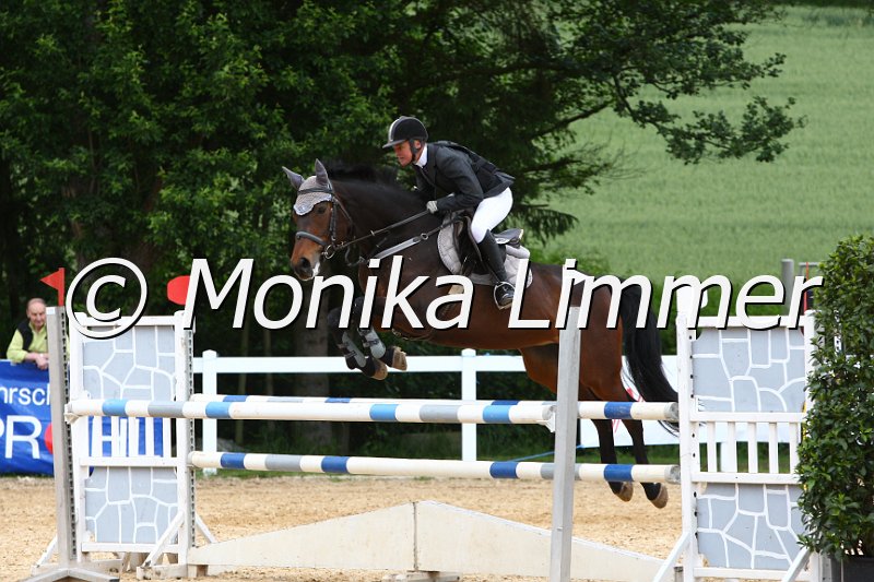 006M7282_Spring L.JPG